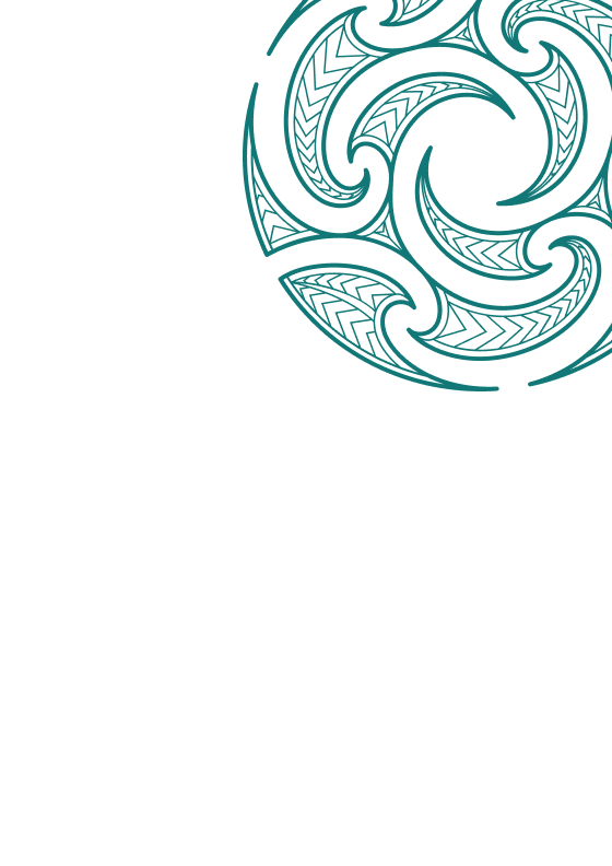 Promoting and Supporting Improvement in Schools through External Review