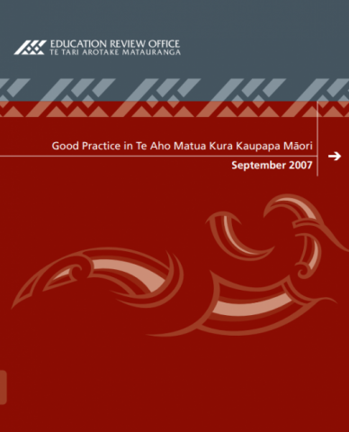 Good Practice in Te Aho Matua Kura Kaupapa Māori